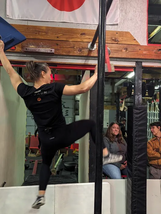 Shinobi Fitness - Bujinkan Budo Taijutsu Martial Arts Picture 5