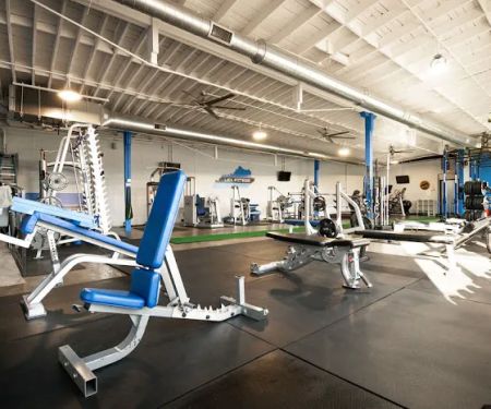 Lex Fitness