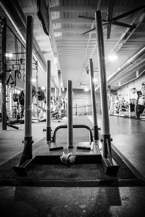 Lex Fitness Picture 3