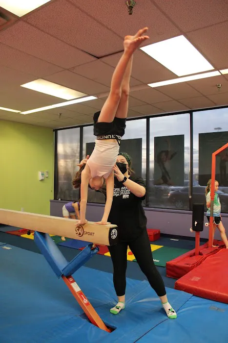 The Little Gym of Lexington East Picture 3