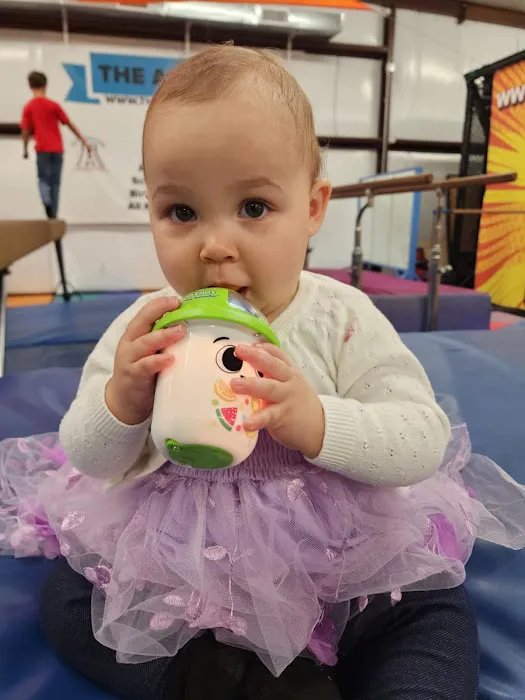 The Academy-Lexington Gymnastics Trampoline Par Picture 2