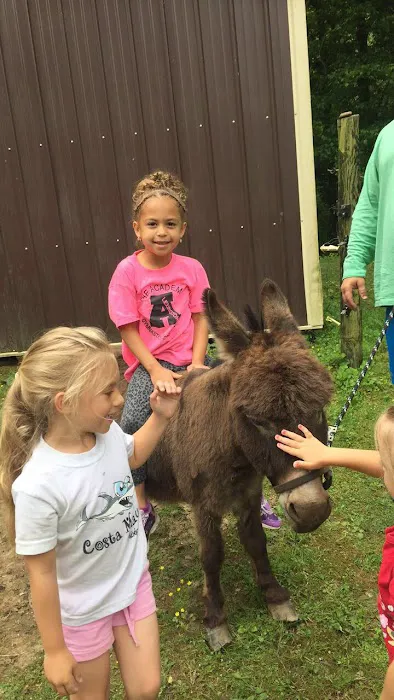 The ACADEMY Gymnastics and Cheerleading Picture 8