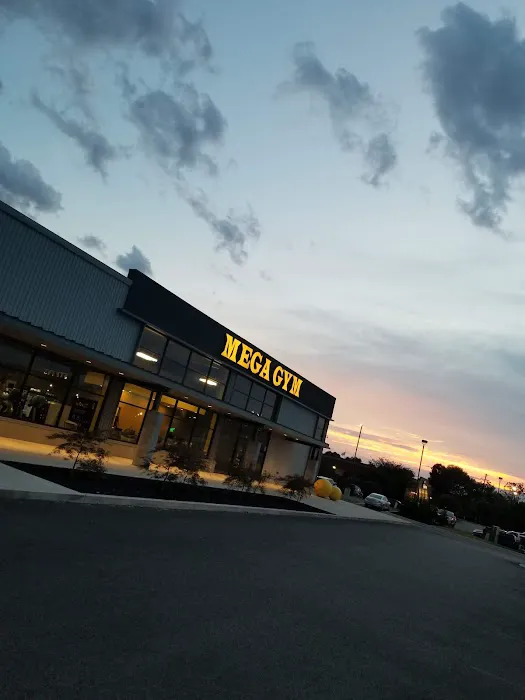 Mega Gym Inc. Picture 7