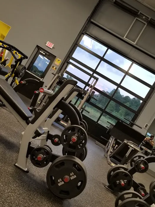 Mega Gym Inc. Picture 2