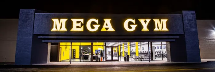 Mega Gym Picture 5