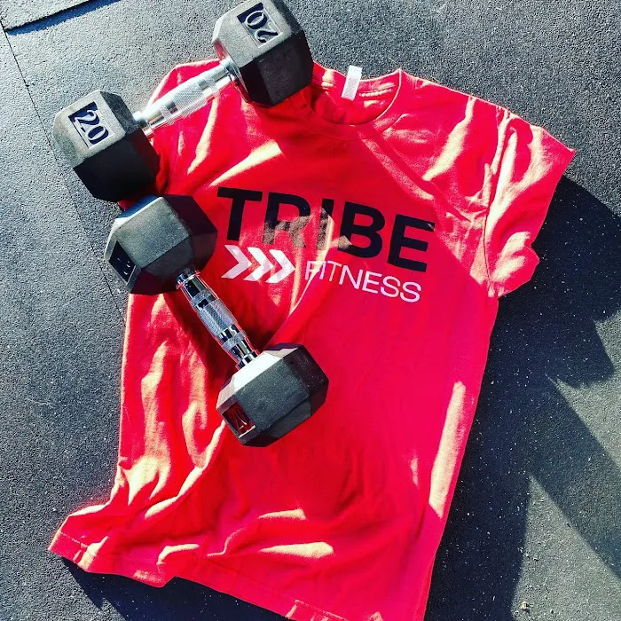 Tribe Fitness Picture 6