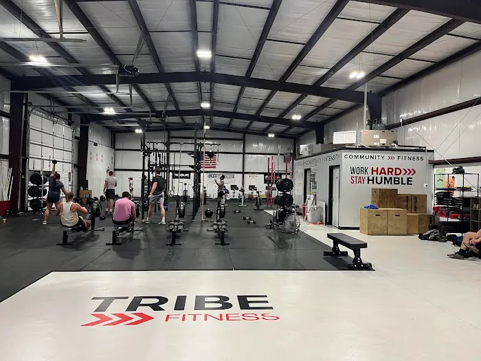 Tribe Fitness Picture 3