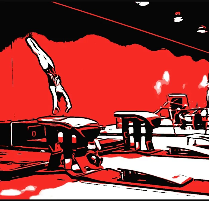 Lakewood Gymnastics Picture 10