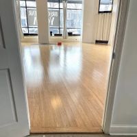 Bright Bear Yoga DC ico