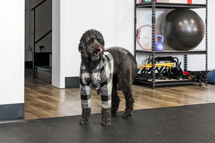 empowHER: boutique gym for women Picture 4