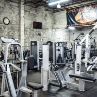 Total Source Fitness ico