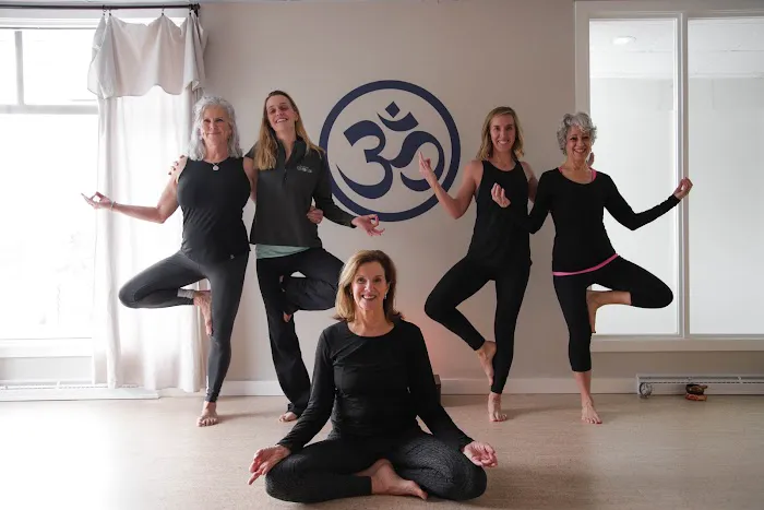 Elk Rapids Yoga Flow Picture 2