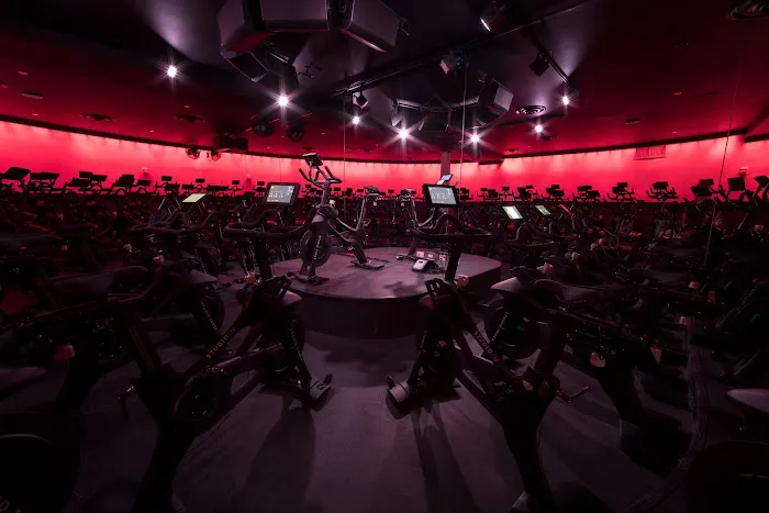 Studio Three Lincoln Park Picture 2