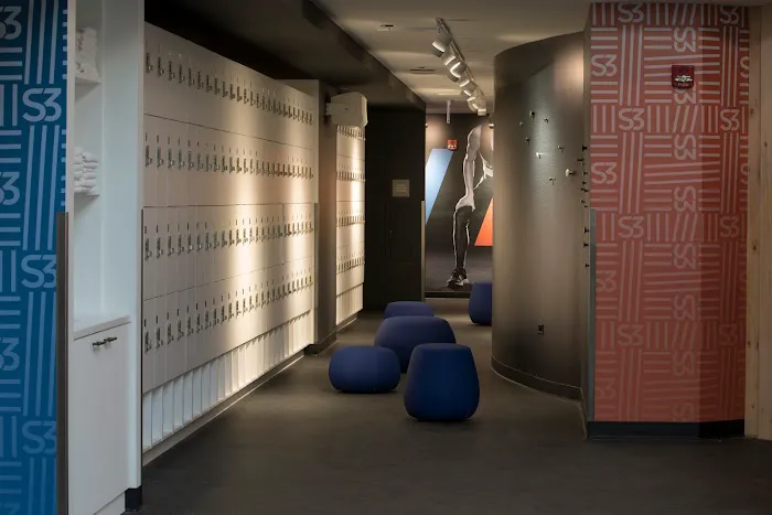 Studio Three Lincoln Park Picture 6