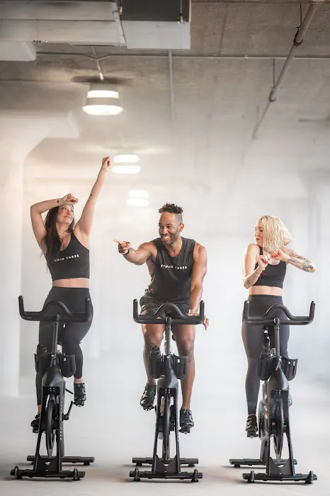 Studio Three Lincoln Park Picture 10