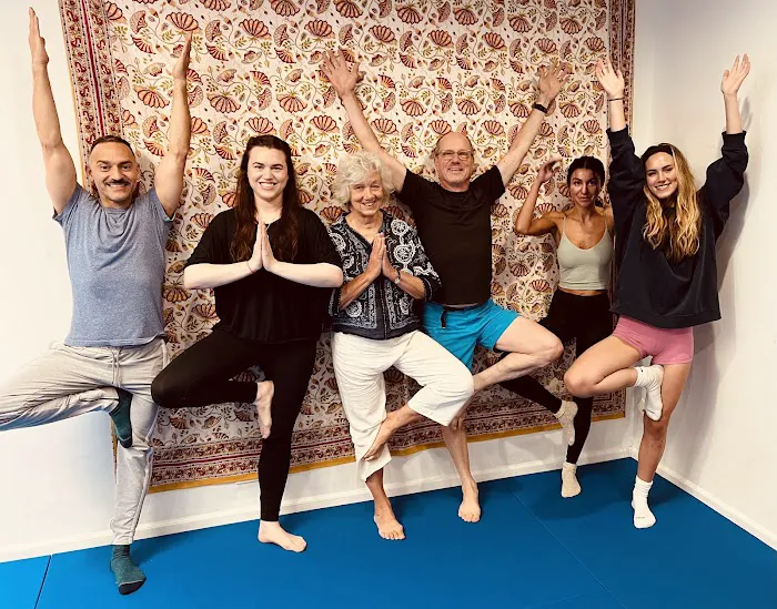 Chicago School of Yoga est. 2009 Picture 4