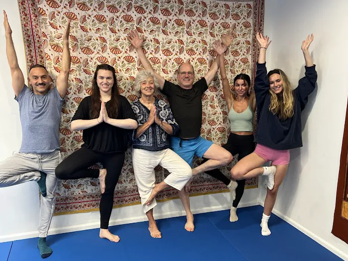 Chicago School of Yoga est. 2009 Picture 2