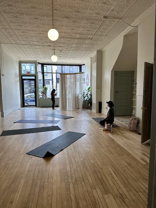 The Yoga Seed Picture 3