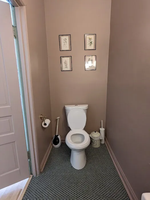 The Yoga Seed Picture 6