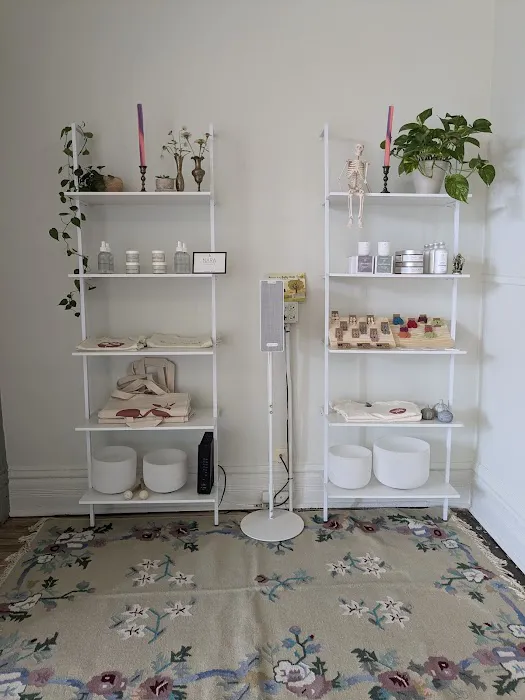 The Yoga Seed Picture 8