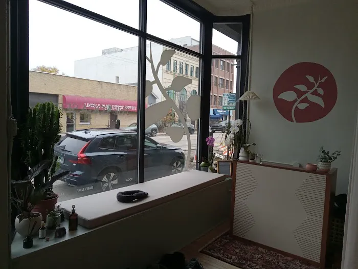 The Yoga Seed Picture 10