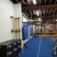 Physicality DC ico