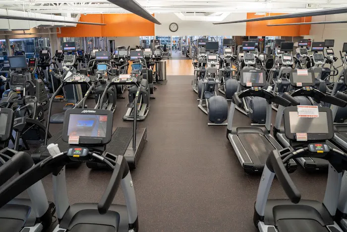 Lakeshore Sport & Fitness Picture 5