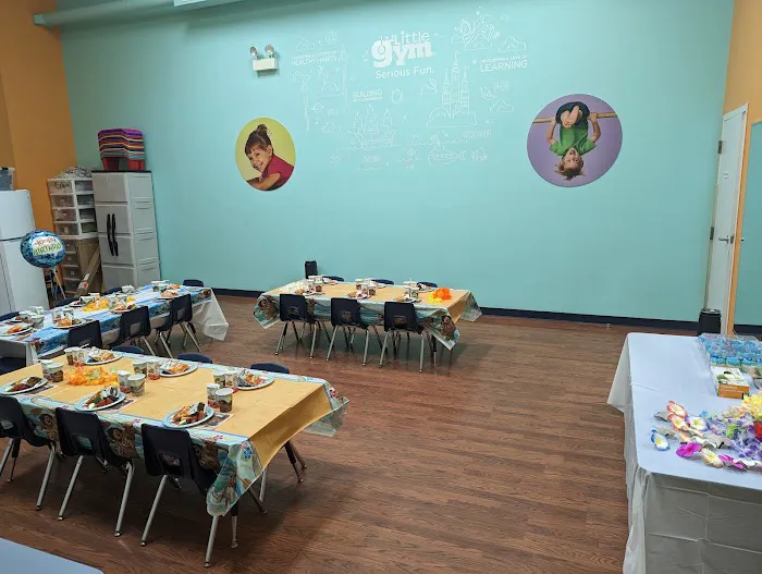 The Little Gym of Chicago Picture 6