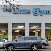 The Little Gym of Chicago ico