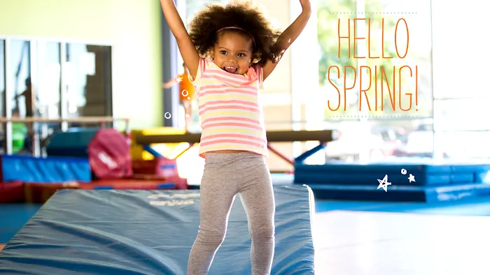 The Little Gym of Chicago Picture 7