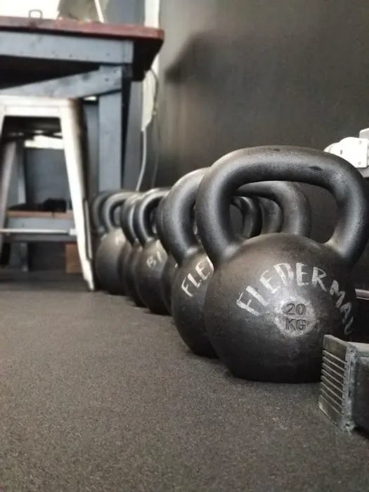 Morning Bird Studio Picture 2