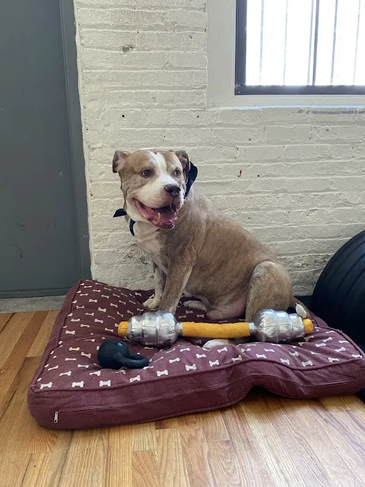 RhinoStrength's Gym Picture 7