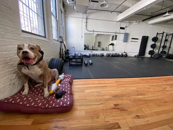 RhinoStrength's Gym Picture 2