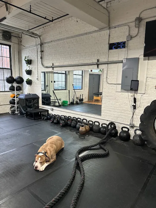 RhinoStrength's Gym Picture 4