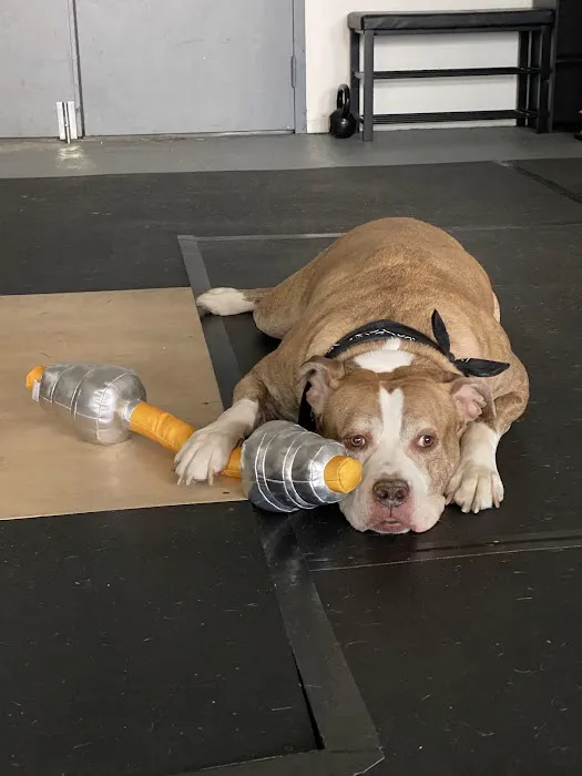 RhinoStrength's Gym Picture 6