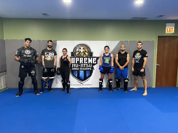 Benjilany striking - Muay Thai - kickboxing & MMA chicago Picture 2