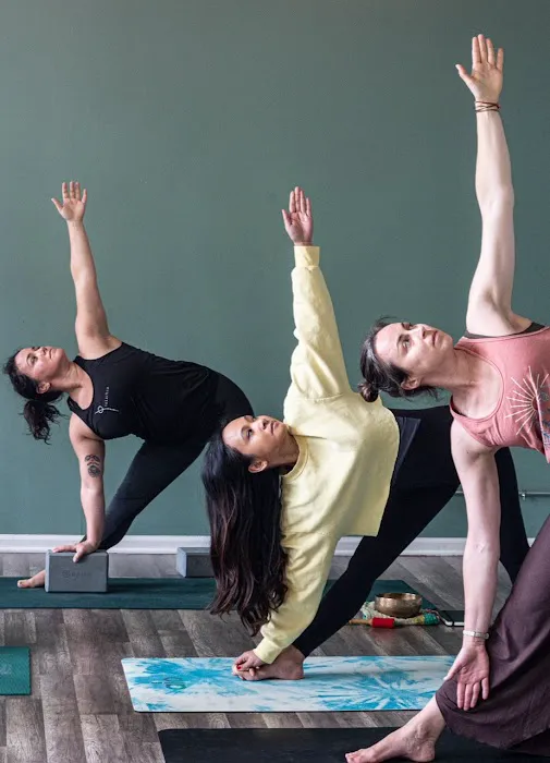 Pistachio Yoga Lincoln Square Ravenswood Picture 6