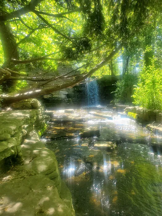 Peterson Park Gymnastics Center Picture 3