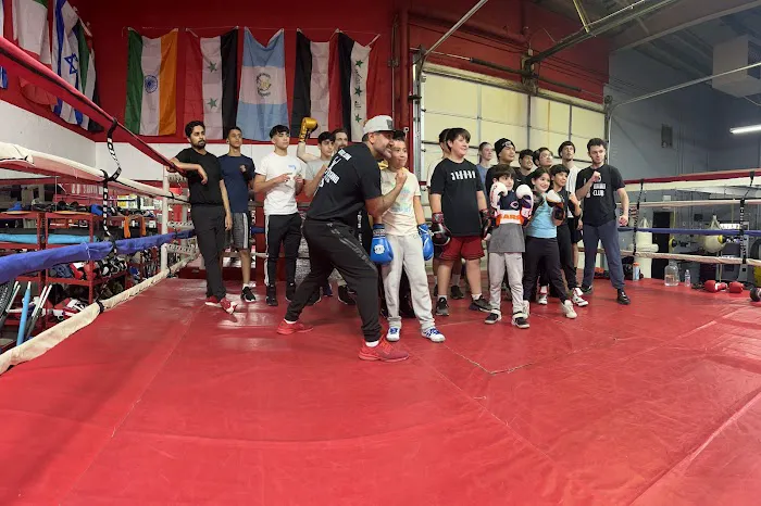 1.8.7 Boxing Club llc Picture 9