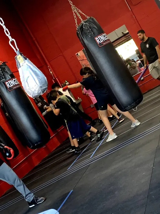 1.8.7 Boxing Club llc Picture 4