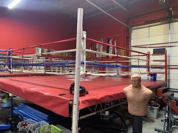 1.8.7 Boxing Club llc Picture 10