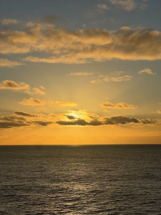 Lincoln Park Muscle Hardcore Gym Picture 8