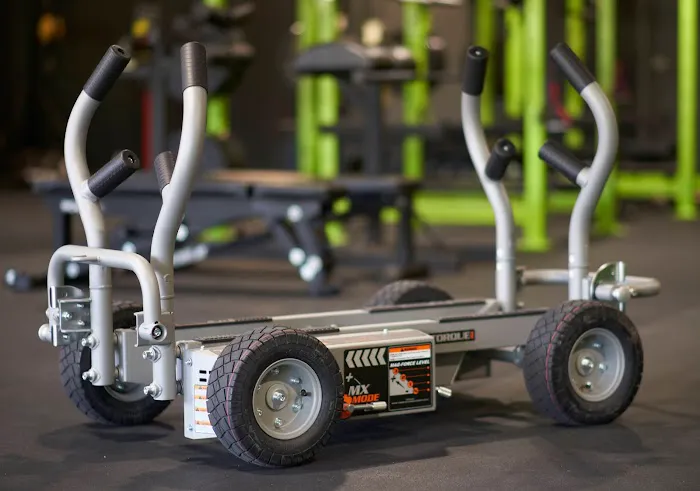 Hard Gainers Athletics Picture 9