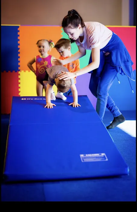 Professional Gymnastics Center Picture 4
