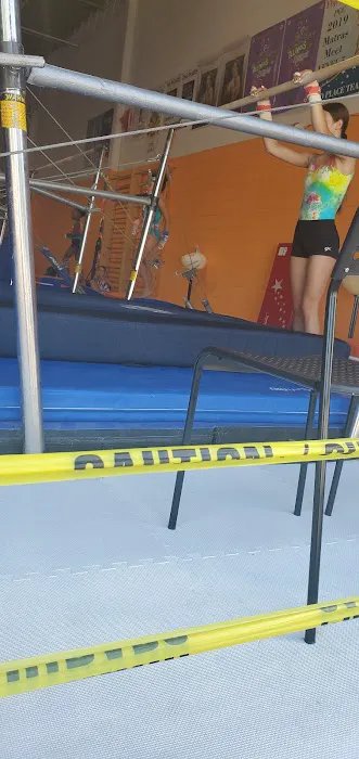 Professional Gymnastics Center Picture 3