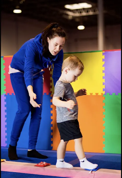 Professional Gymnastics Center Picture 1