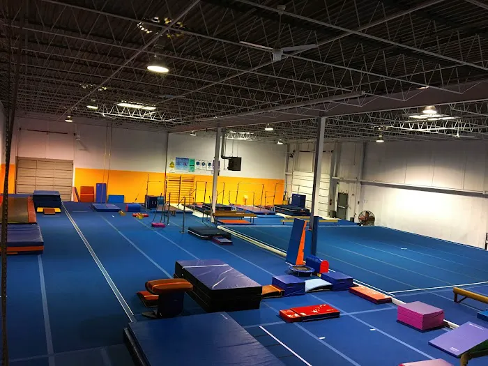 Professional Gymnastics Center Picture 2