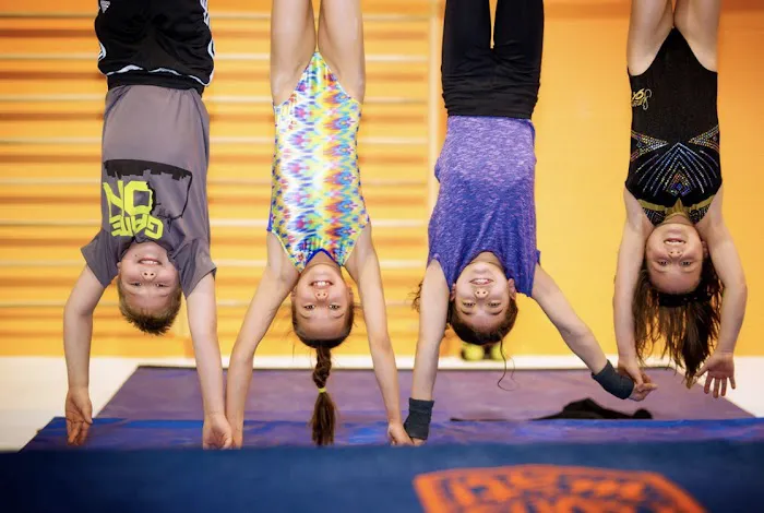 Professional Gymnastics Center Picture 6