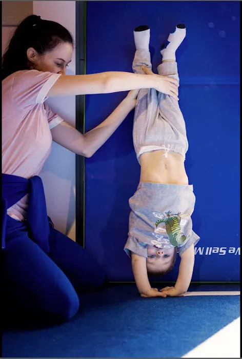 Professional Gymnastics Center Picture 5