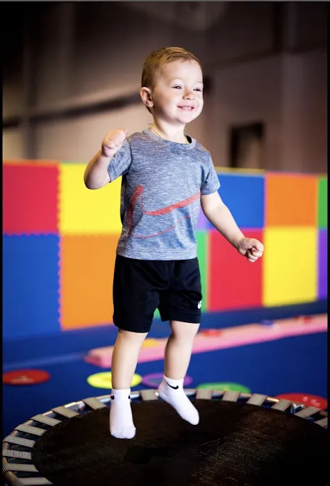 Professional Gymnastics Center Picture 7